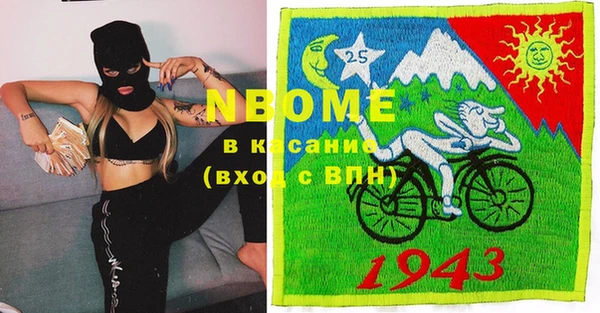 индика Алзамай