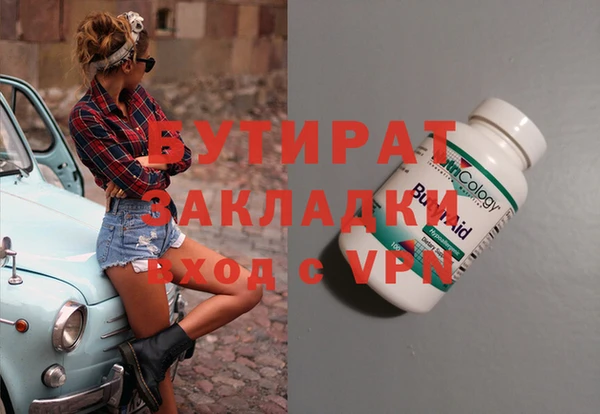 индика Алзамай