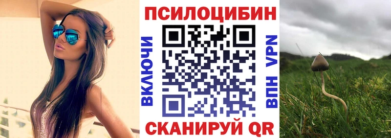 дарнет шоп  kraken вход  Галлюциногенные грибы Cubensis  Гвардейск 