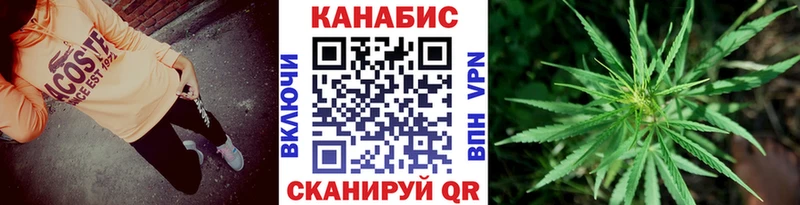 наркотики Гвардейск Марихуана сатива